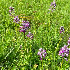 22-05-08 11-08-04 0765